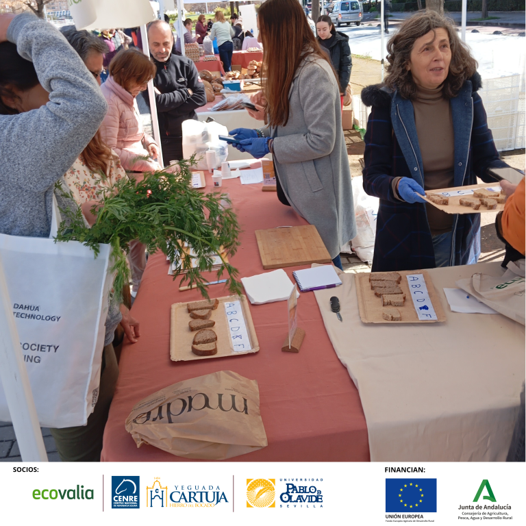 Investigadora gloria Guzmán con una bandeja de pan para la cata