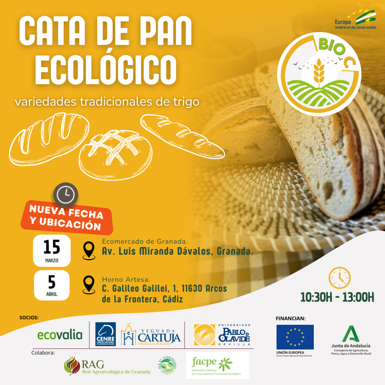 Actividades - BIOC